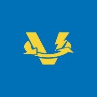 Village Electronics Recycling logo - Similar company to Mirssa Tech Ltd