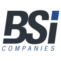 BSI Companies logo - Similar company to Rplay