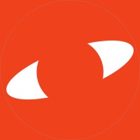 Mindus logo - Similar company to Digiheads