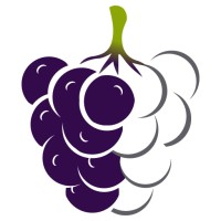 Mulberry Analytics logo - Similar company to Skillzone