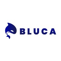 Bluca logo - Similar company to Molog Modern Logistics