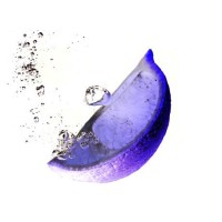 Lyme Marketing LLC logo - Similar company to Novalead