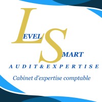 LEVEL SMART AUDIT & EXPERTISE logo - Similar company to Software Overseas Academy