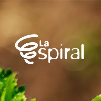 La Espiral logo - Similar company to Tech4Devhn