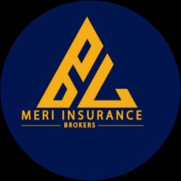 Meri Insurance Broker logo - Similar company to Axion Tech