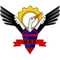 BDS ESTACA logo - Similar company to Junior Estaca
