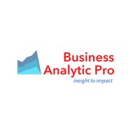 Business Analytic Pro logo - Similar company to Intellerts
