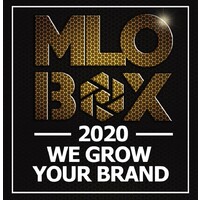 MLOBOX logo - Similar company to Pac Components Pte Ltd