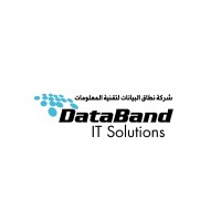 Databand IT Solutions logo - Similar company to Medtech Solutions Egypt