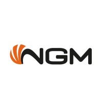 NGM Italia logo - Similar company to Meelectronics