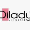 Dilady Lingerie logo - Similar company to Top Case Ltd