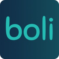 Boli Innovation logo - Similar company to Consultorgo