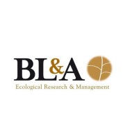 Brett Lane And Associates