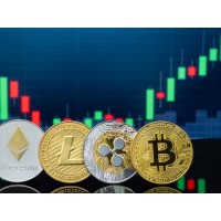 Cryptocurrency Learning and Trading logo - Similar company to Crypto Learning