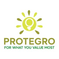 PROTEGRO, INC. logo - Similar company to Platinum Financing Group