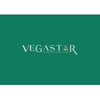 VEGASTAR HYGIENE SOLUTIONS PVT.LTD logo - Similar company to Bharatvac Engineers Llp