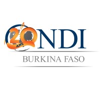 NDI Burkina Faso logo - Similar company to Naaratix
