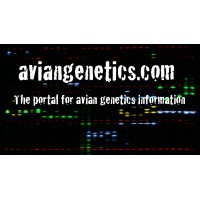 aviangenetics.com logo - Similar company to Pheasant Ridge Aviary