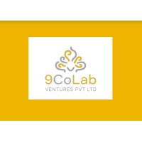9CoLab Ventures Pvt. Ltd. logo - Similar company to Dhiraa Skilldev