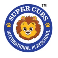 SuperCubs International Pvt Limited logo - Similar company to Supernova Learning Center