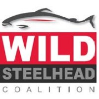 Wild Steelhead Coalition logo - Similar company to The Articulate Fly Llc