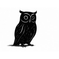 Freshowl LTD logo - Similar company to Xrworkout