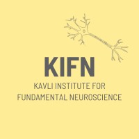 Kavli Institute for Fundamental Neuroscience UCSF logo - Similar company to Neuropac