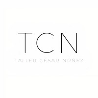 TCN - Taller César Núñez logo - Similar company to Cyberstreams