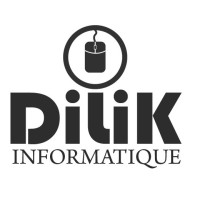 EURL DILIK INFORMATIQUE logo - Similar company to Solution Informatique