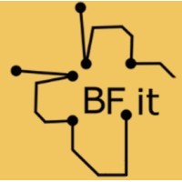 BetterFlow.IT logo - Similar company to Gonextstage