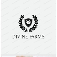 Divine Farms & Hatchery logo - Similar company to Fabdec Dairy Systems