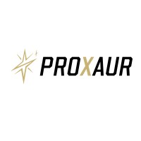 Proxaur logo - Similar company to Rezlit