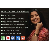 Excel Data Entry Service 24 hours logo - Similar company to Ubi
