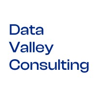 Data Valley Consulting logo - Similar company to Monetize Data