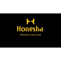 Honesha B.V. logo - Similar company to Bagbooking