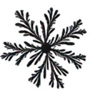 Center for Nonlinear Dynamics logo - Similar company to Studio Tecnico Zocca