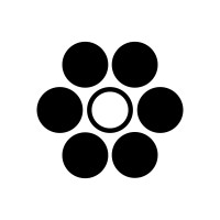 Aimaze logo - Similar company to Aimaze Nl