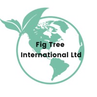Fig Tree International logo - Similar company to Dzenbit