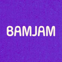 BamJam logo - Similar company to Nebula Snacks