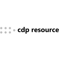 Cdp Resource - Independent Customer Data Platform Analyst