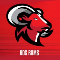 BDS TSM RAMS logo - Similar company to Bde Tsm Rams