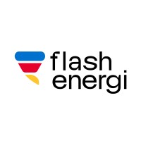 Flash Energi logo - Similar company to Mottie Ai