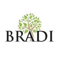 BRADI logo - Similar company to Soluciones Integrales Telecom (Solit)