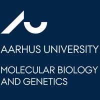 Molecular Biology & Genetics - Aarhus University logo - Similar company to Interdisciplinary Nanoscience Center - Aarhus University