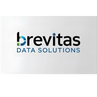 Brevitas Data Soloutions logo - Similar company to The Foundry