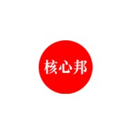 CoreChina Media logo - Similar company to Spring Point Solutions