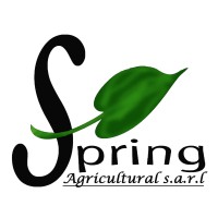 SPRING SARL logo - Similar company to Zeecode