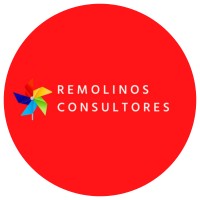 Remolinos Consultores logo - Similar company to The Visual Project