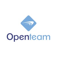 Openteam logo - Similar company to Smartgeek