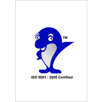 Dolphin Kids logo - Similar company to Onebusinessmultisolution